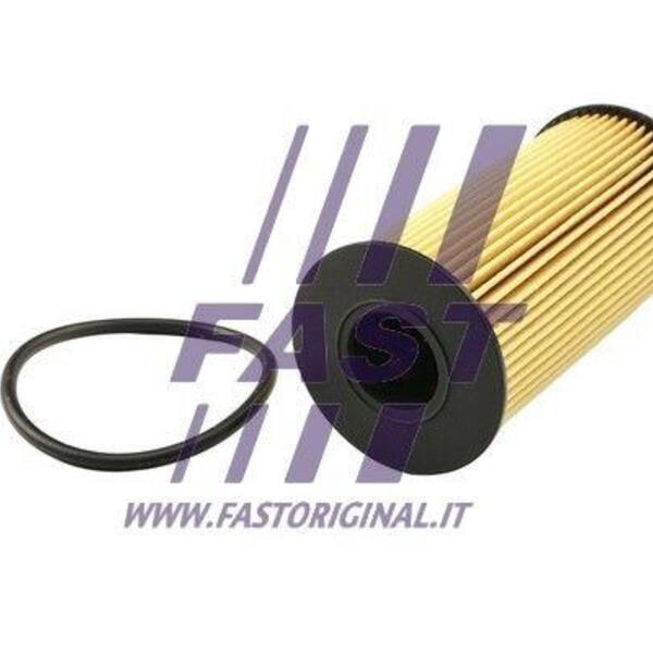 Olejový filtr FAST FT38031