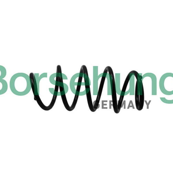 Pružina podvozku Borsehung B19305
