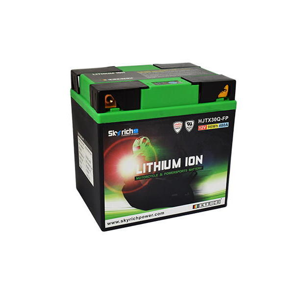 Skyrich HJTX30Q-FP