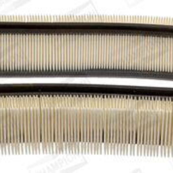 Vzduchový filtr CHAMPION CAF100148R