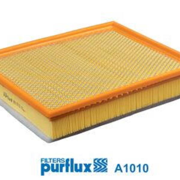 Vzduchový filtr PURFLUX A1010