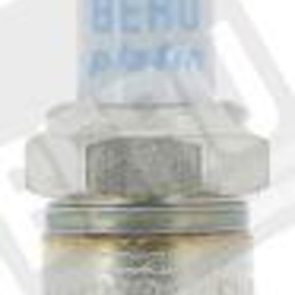 Zapalovací svíčka BorgWarner (BERU) Z209SB